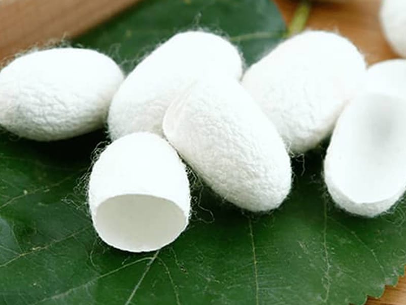 What is mulberry silk?